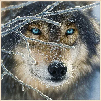 Snow Wolf Diamond výšivky Diy diamond Maľovanie Cross Stitch maľovanie námestie 5D Vyšívanie, Mozaiky Domáce Dekorácie
