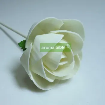 1000 ks /veľa Sola Kvety Prírodná Biela Vôňa Flower Výustiek S Lanom Pre Frangrance Difúzor Veľkoobchodné Ceny